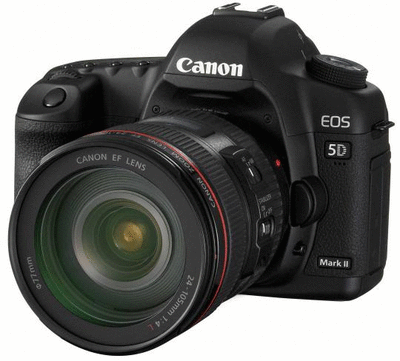 Canon EOS 5D Mark II with EF 24-105 f/4L Kit