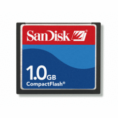 SanDisk Standard CompactFlash 1GB