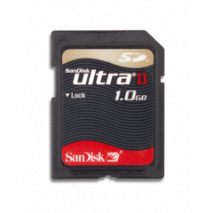 SanDisk Ultra II SD Card 1GB