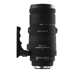 Sigma 120-400mm F4.5-5.6 DG OS for Sigma