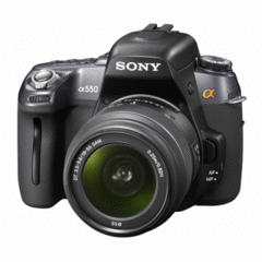 Sony DSLRA550 Alpha with DT 18-55mm