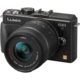 Lumix DMC-GX1 with 14-42 Kit