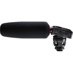 Tascam DR-10SG Audio Recorder with Shotgun Microphone