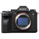 a1 Mirrorless Camera